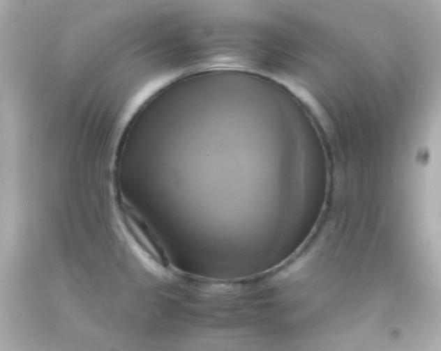 X0000091501333200709061914