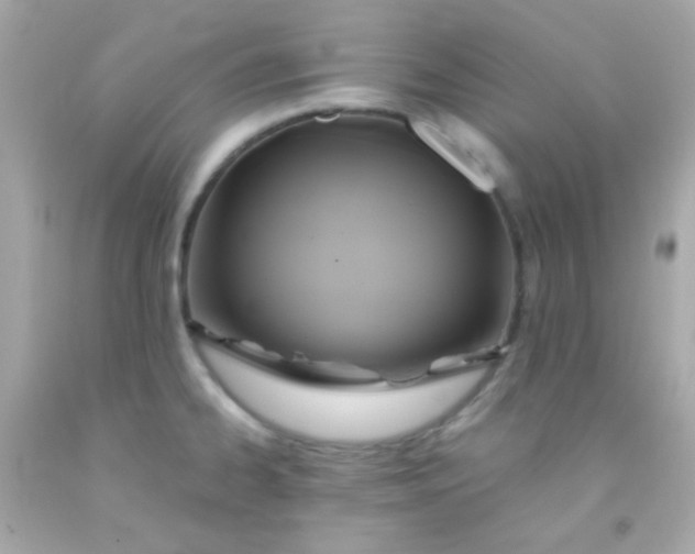 X0000091501334200709061914