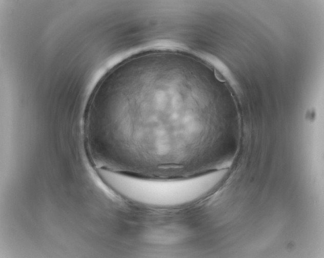 X0000091501335200709061914