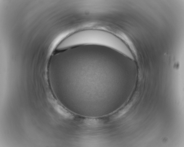 X0000091501336200709061914