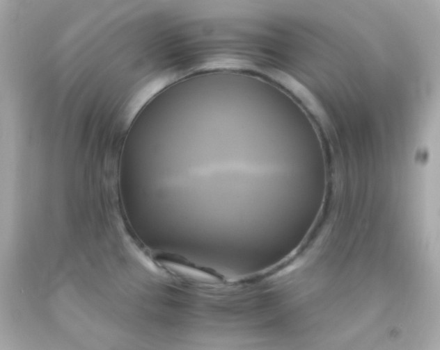 X0000091501337200709061914