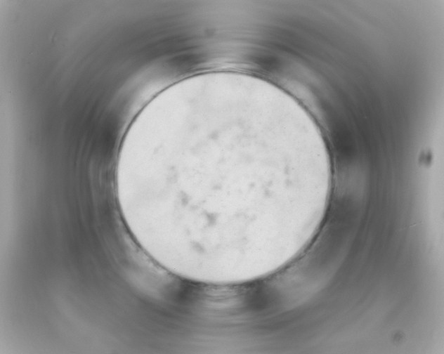 X0000091501338200709061914