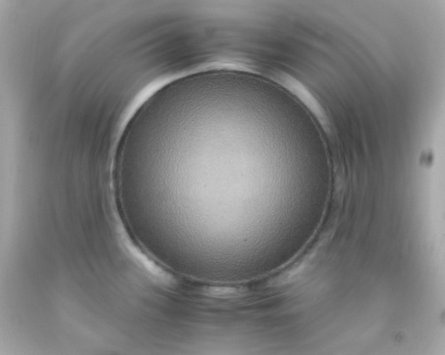 X0000091501339200709061914