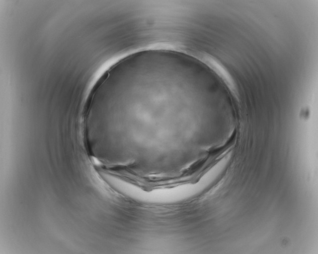 X0000091501340200709061914