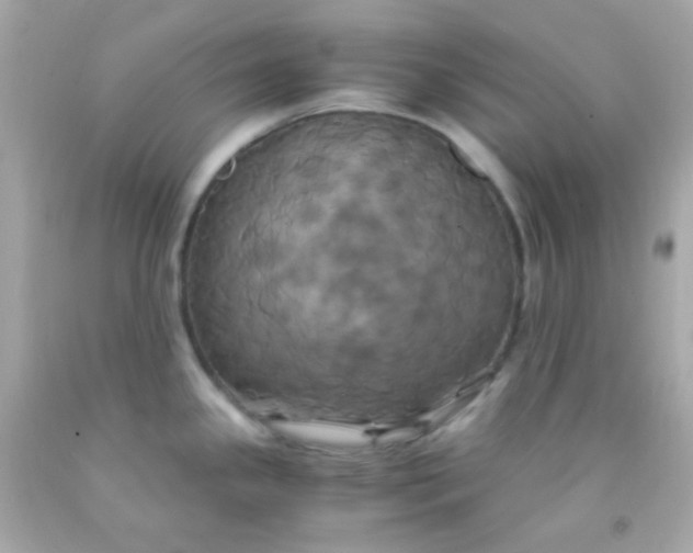 X0000091501341200709061914