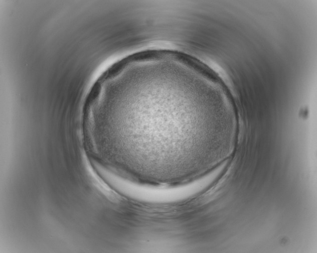 X0000091501342200709061915