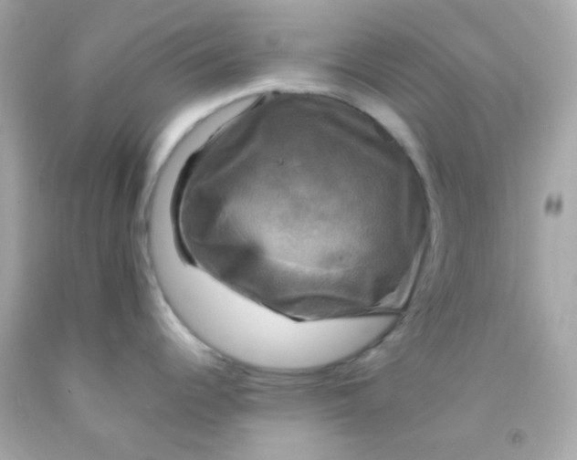 X0000091501344200709061915