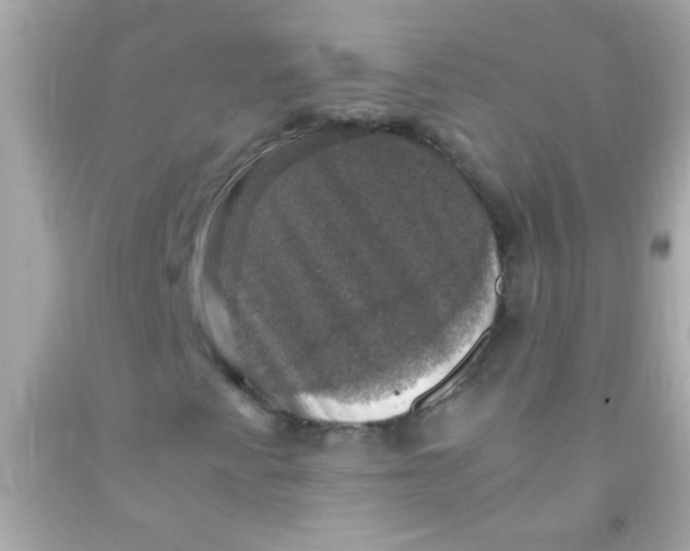 X0000091501345200709061914