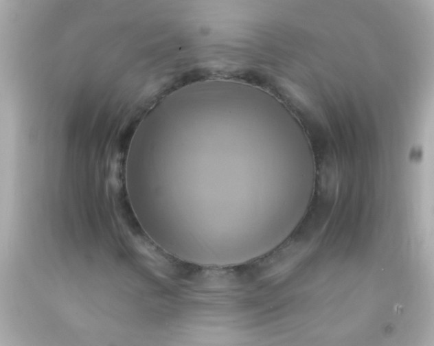 X0000091501346200709061914