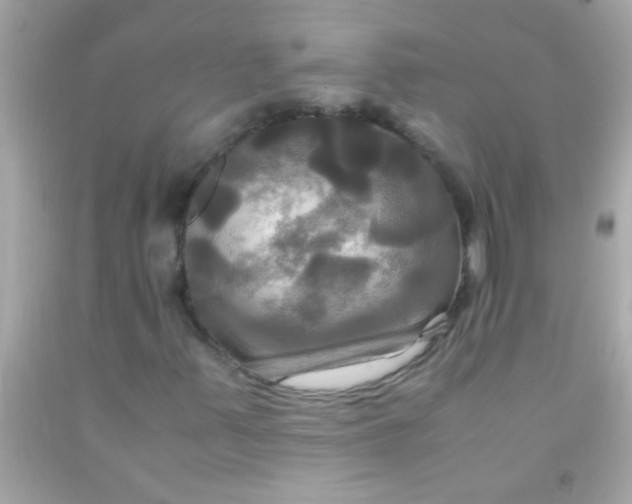 X0000091501347200709061914