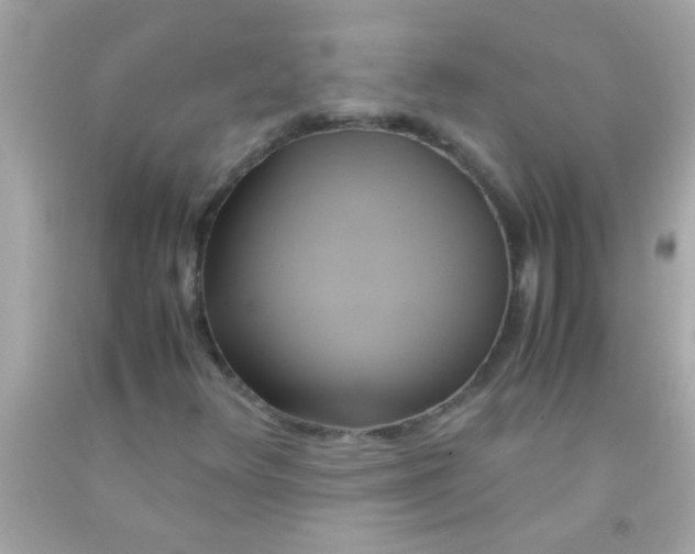 X0000091501348200709061914