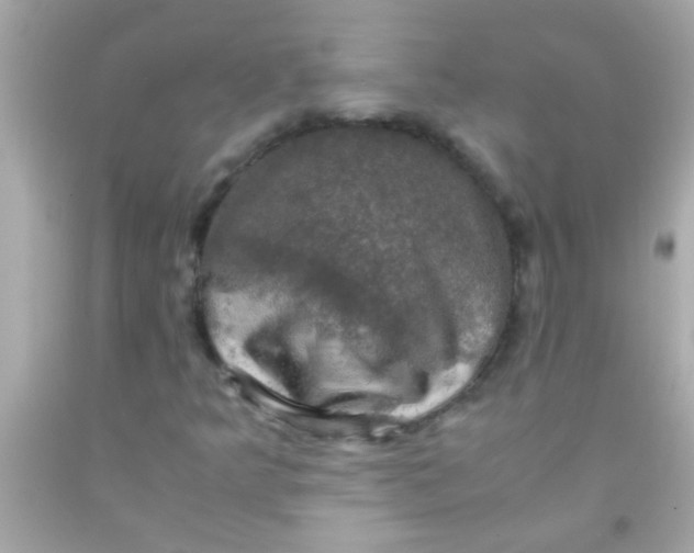 X0000091501349200709061914