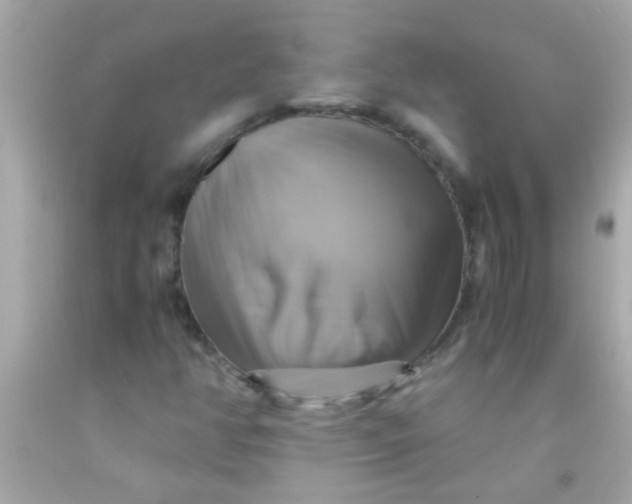 X0000091501350200709061914