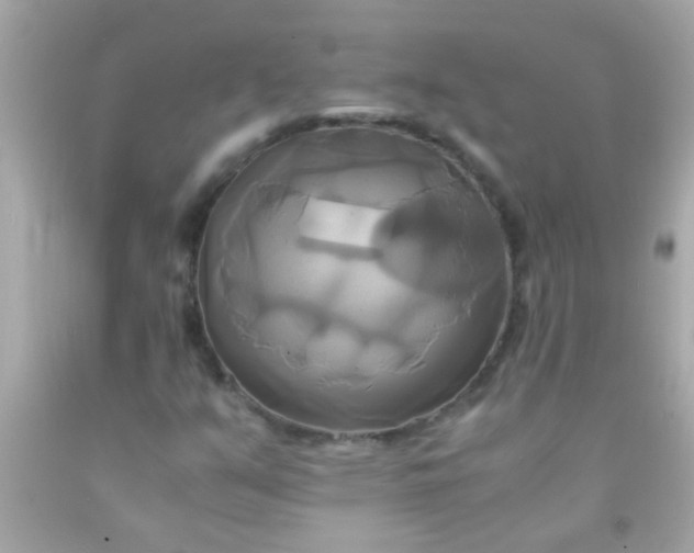 X0000091501351200709061914