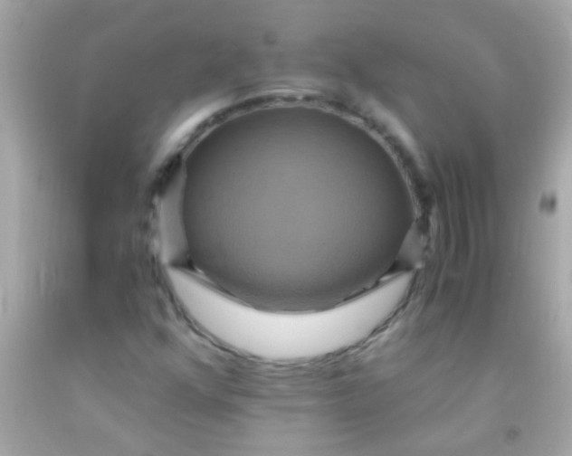 X0000091501352200709061914