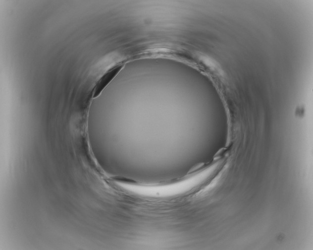 X0000091501353200709061914