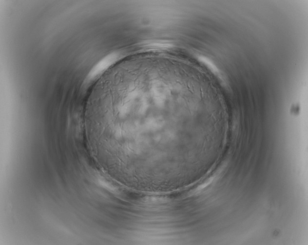 X0000091501354200709061914