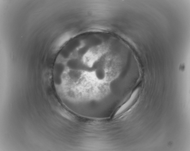 X0000091501355200709061914