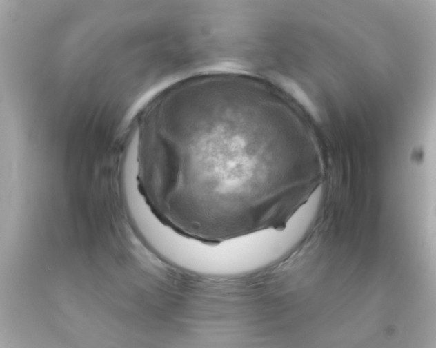 X0000091501356200709061914