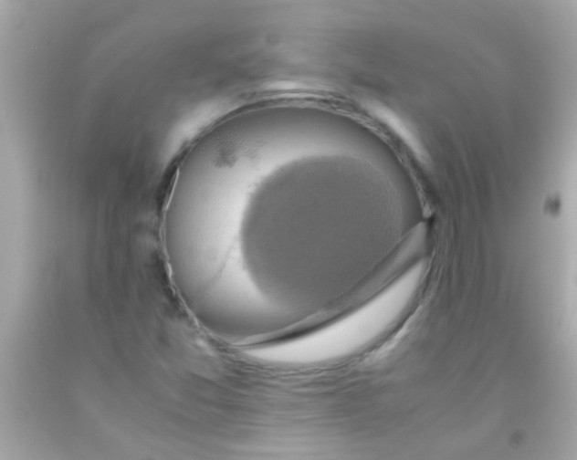 X0000091501357200709061914