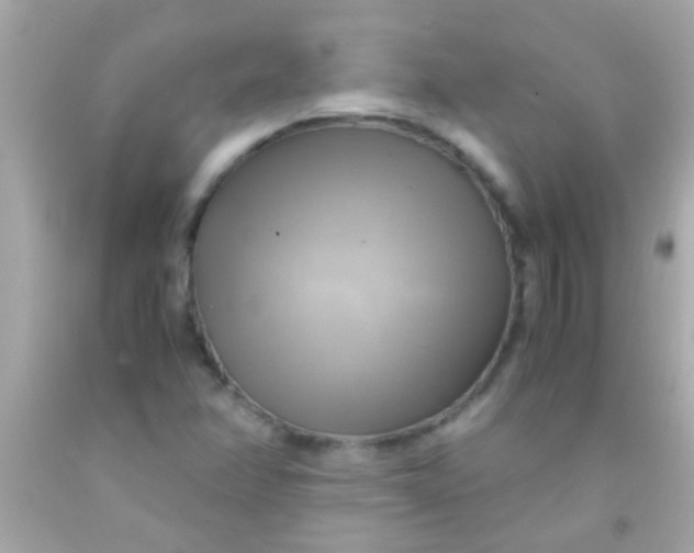 X0000091501358200709061914