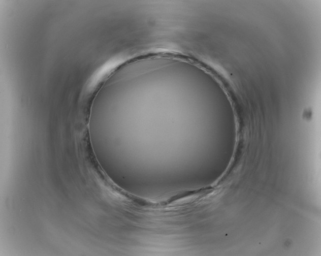 X0000091501359200709061914