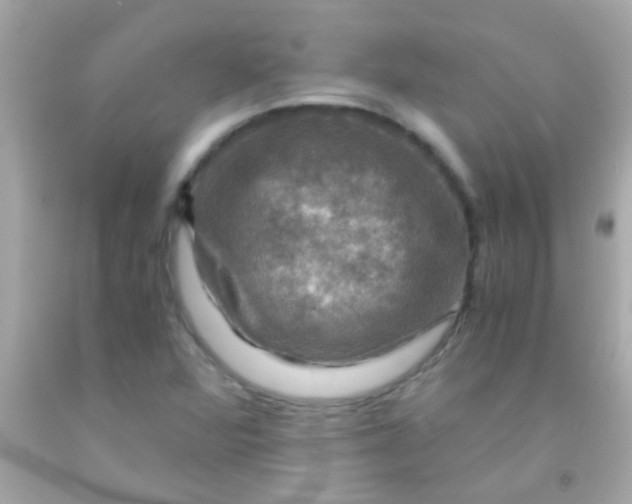 X0000091501360200709061914