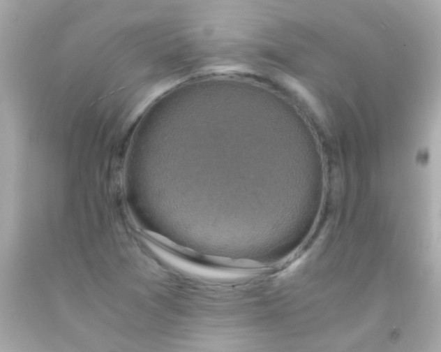 X0000091501361200709061914