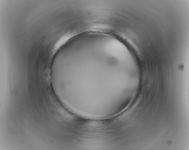 X0000091501362200709061914