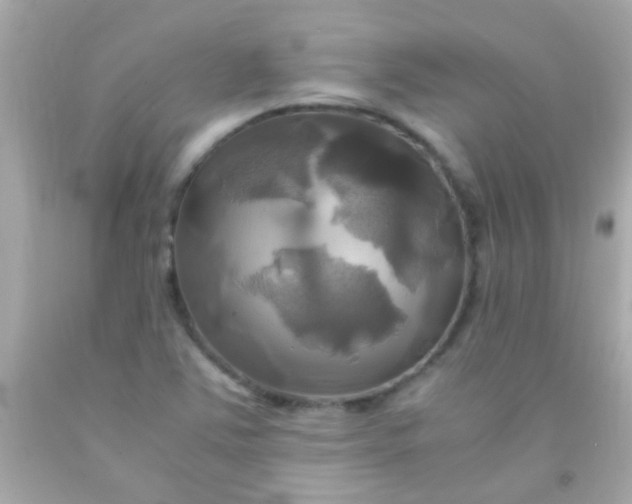 X0000091501363200709061914