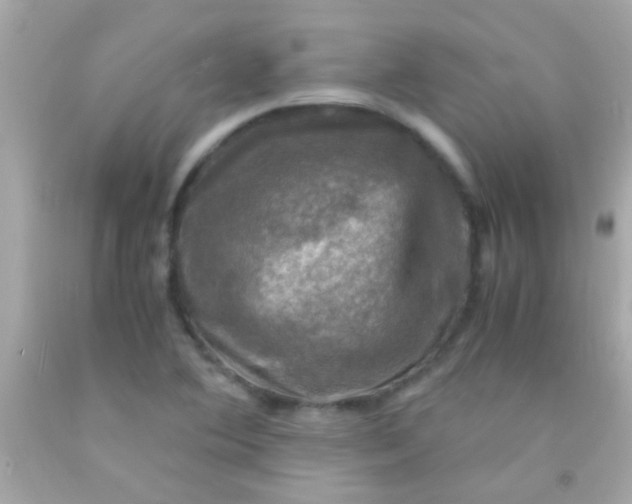 X0000091501364200709061914