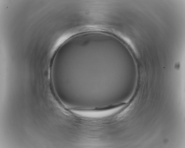 X0000091501365200709061914