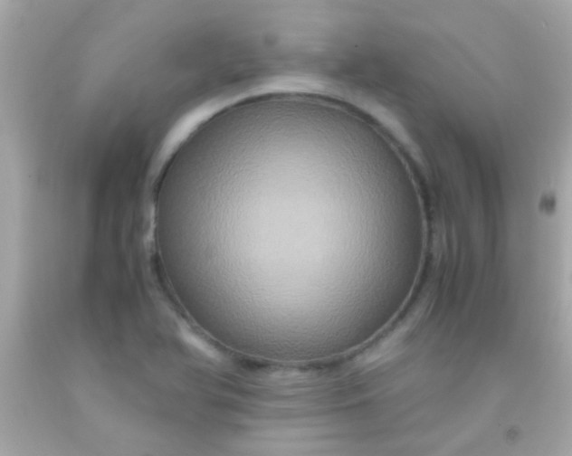 X0000091501366200709061914