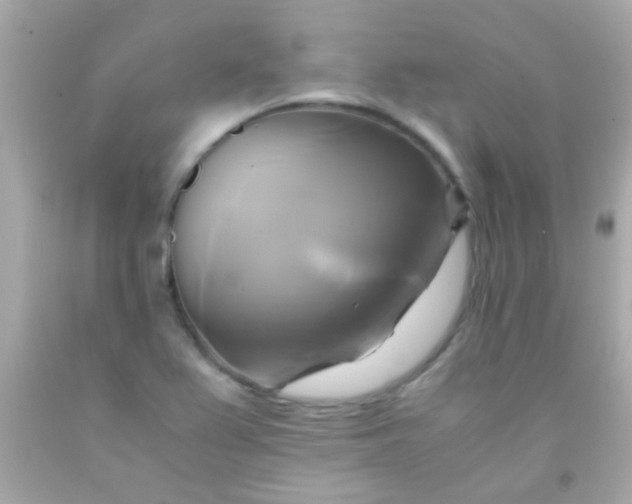 X0000091501367200709061914