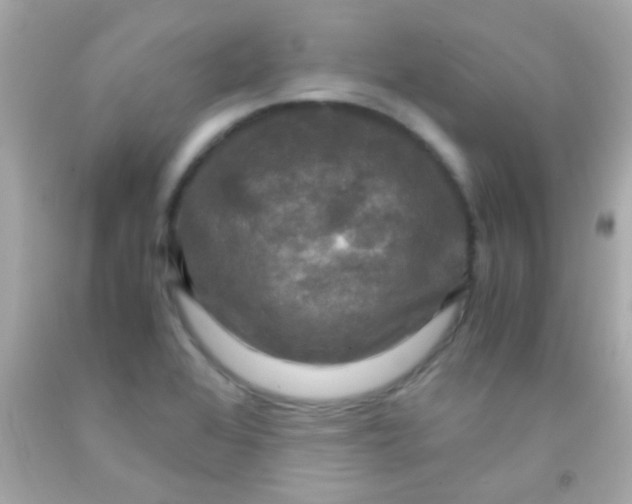 X0000091501368200709061914