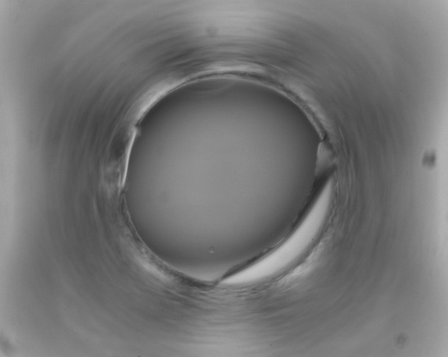 X0000091501369200709061914