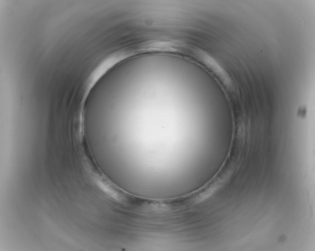 X0000091501370200709061914