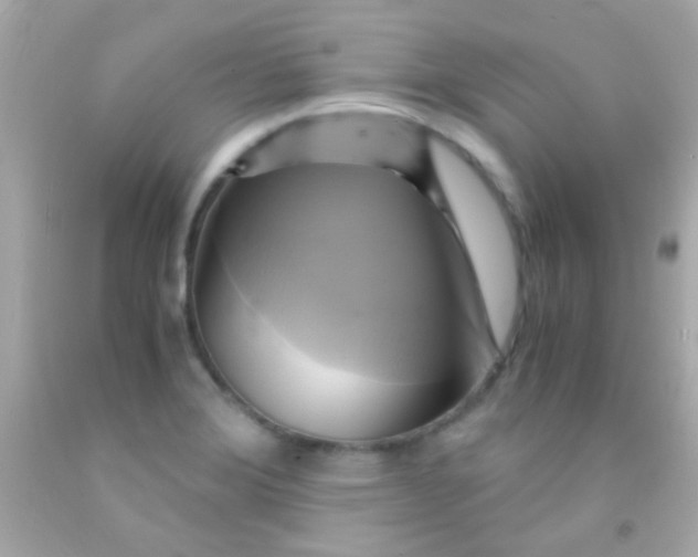 X0000091501372200709061914