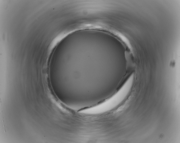 X0000091501373200709061914