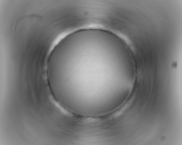 X0000091501374200709061914