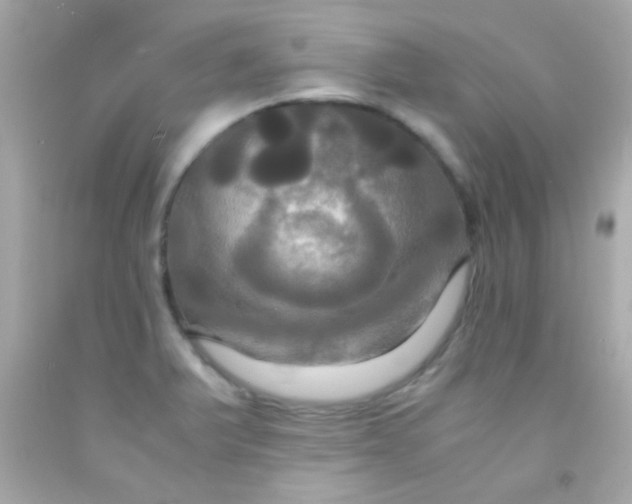 X0000091501375200709061914