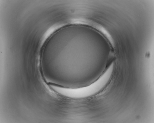 X0000091501376200709061914