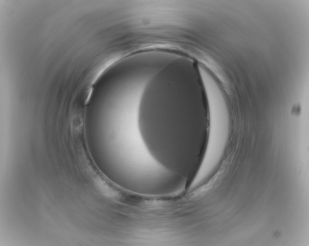 X0000091501377200709061914