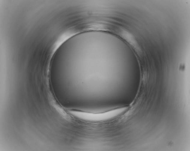 X0000091501378200709061914