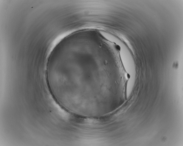 X0000091501379200709061914