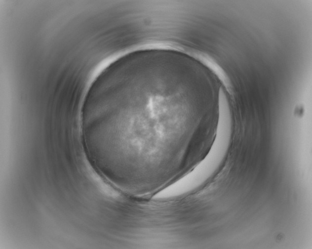 X0000091501380200709061914