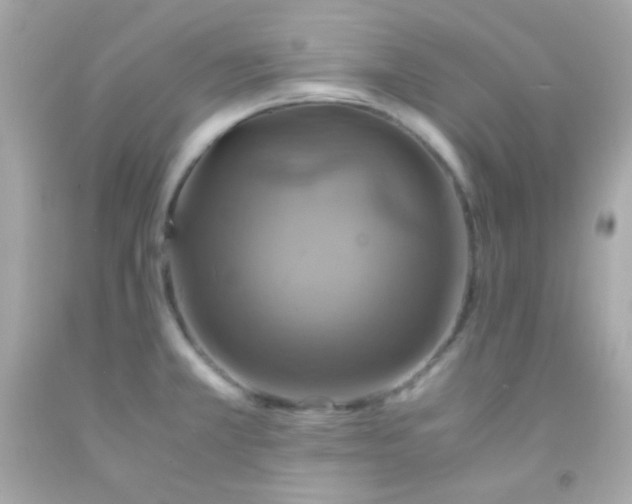 X0000091501381200709061913