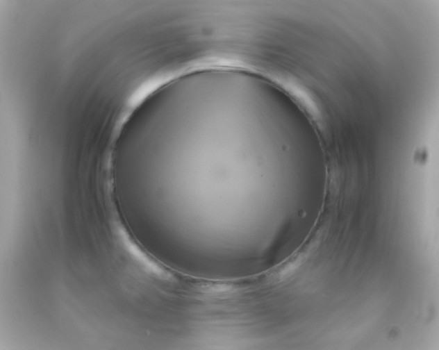 X0000091501382200709061913