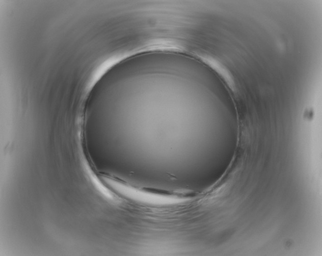 X0000091501383200709061913