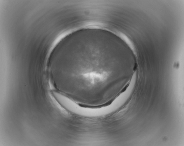 X0000091501384200709061913